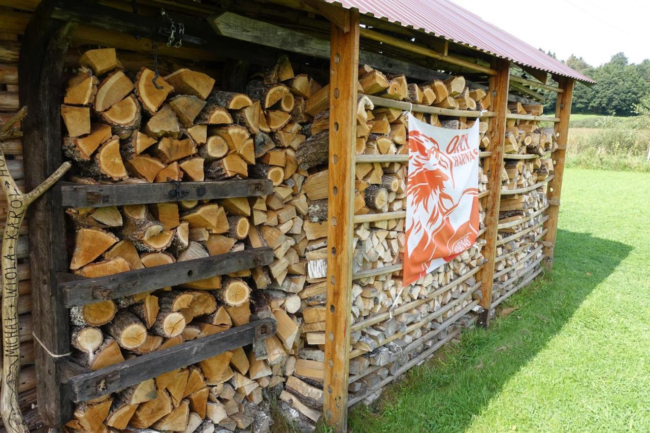 Domki Zacisze Solina  Buitenkant foto